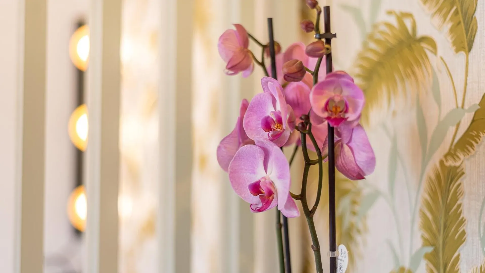Urban Luxe Studio Torremoilinos Torremolinos